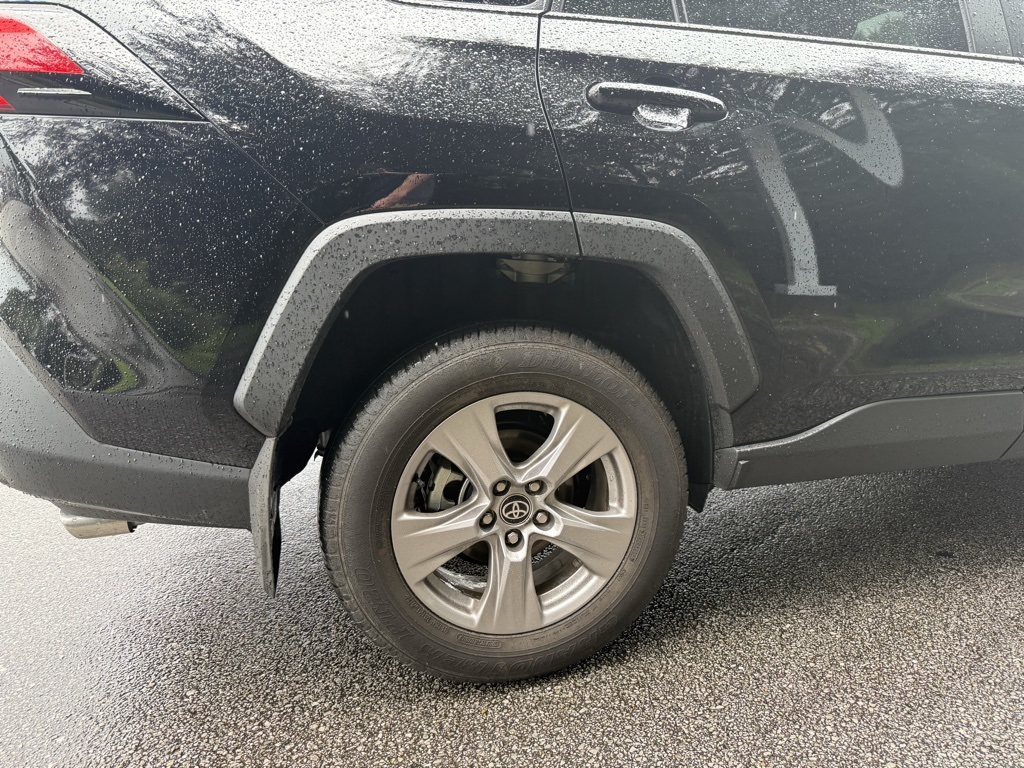 2025 Toyota RAV4 XLE photo 11