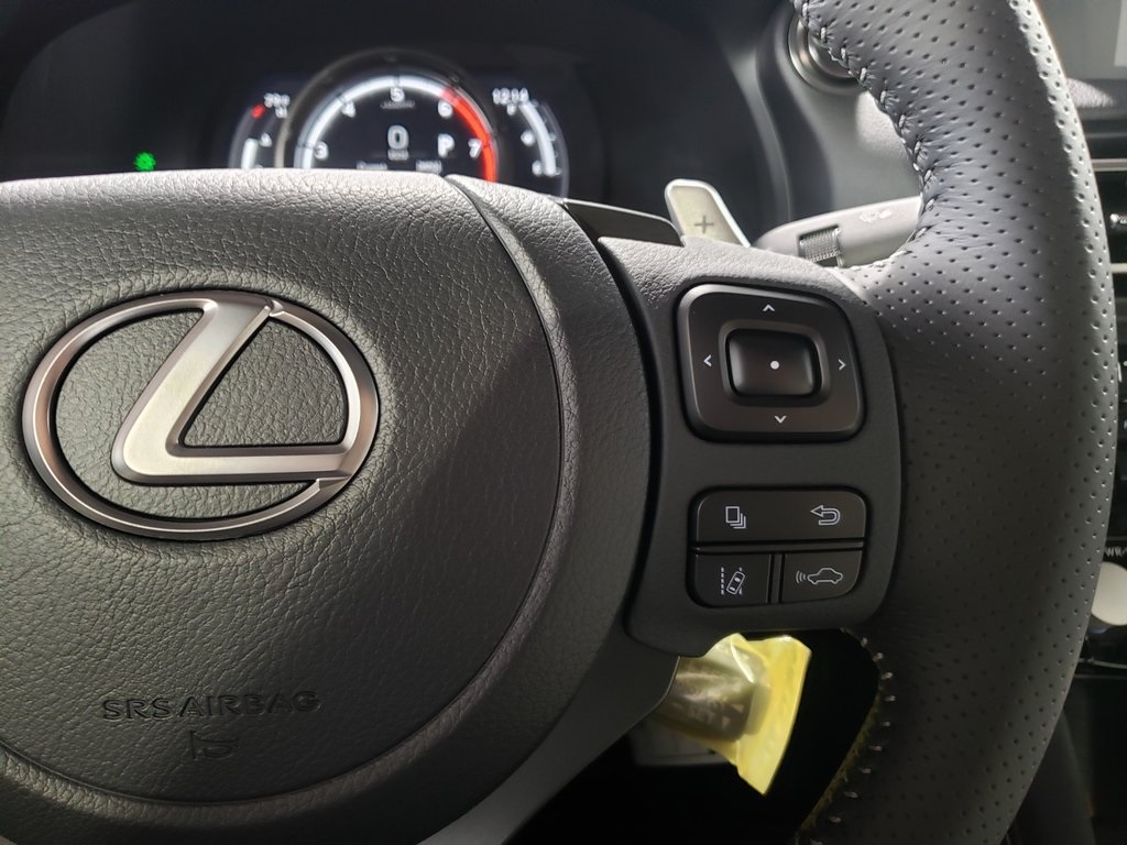 2025 Lexus IS 300 F SPORT photo 15