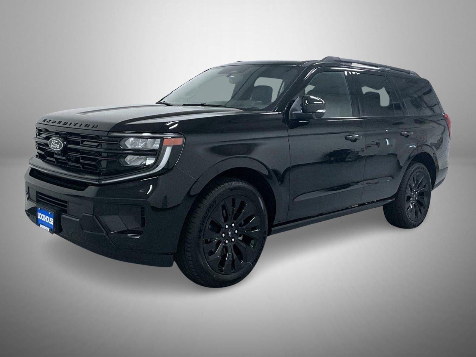 2025 Ford Expedition Platinum's photo