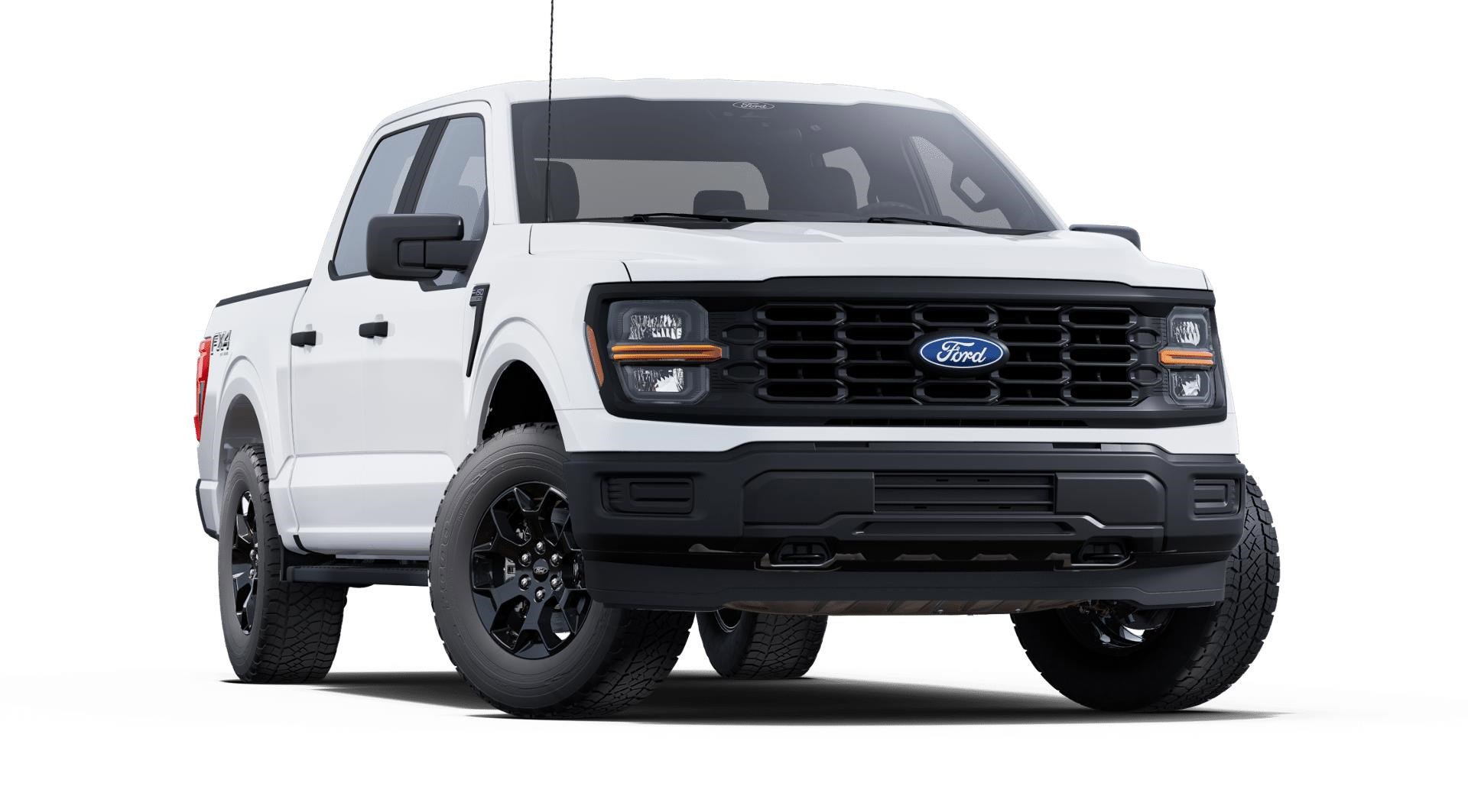 2025 Ford F-150 STX photo 3