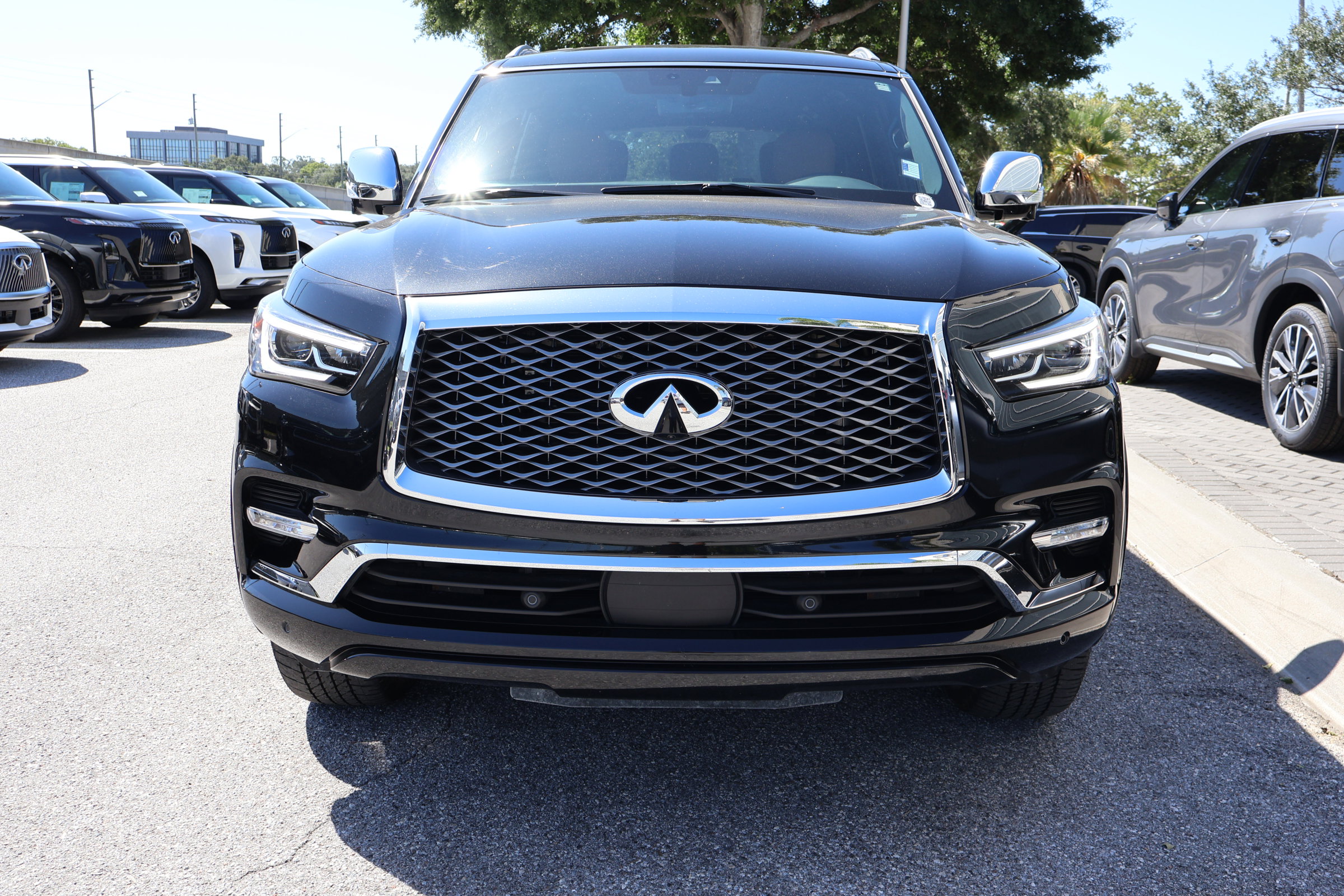 2024 Infiniti QX80 Sensory photo 9