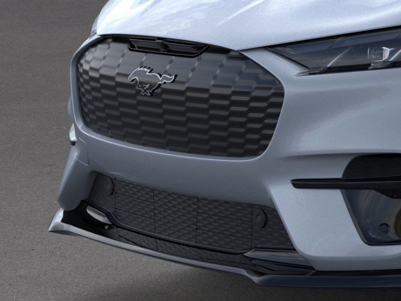 2025 Ford Mustang Mach-E GT photo 15
