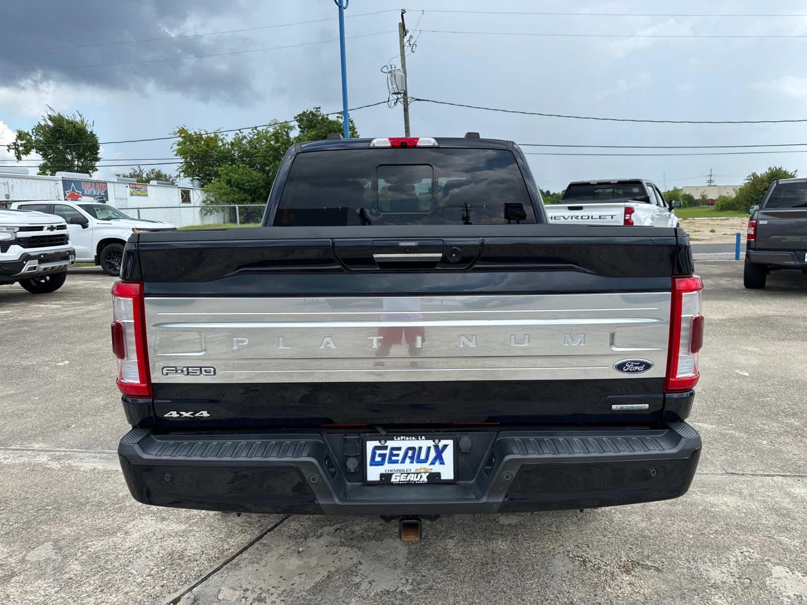 2021 Ford F-150 Platinum photo 12