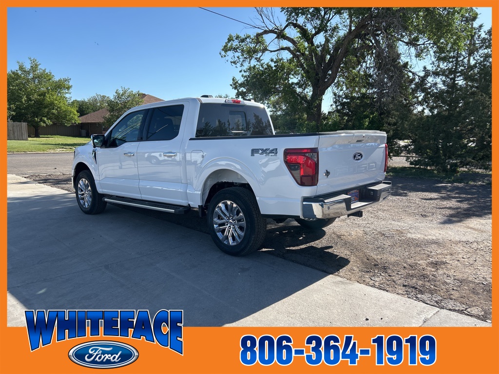 2025 Ford F-150 XLT photo 3