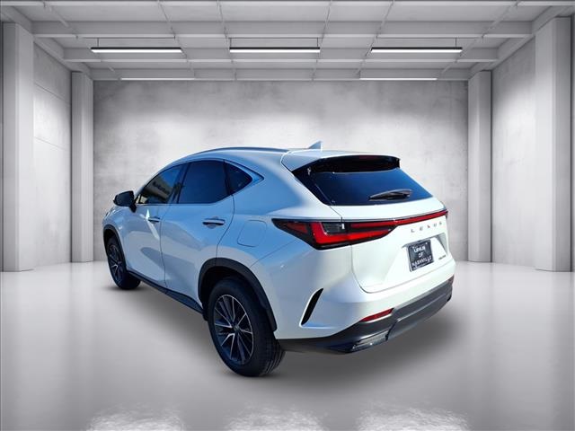 2025 Lexus NX 250 photo 4