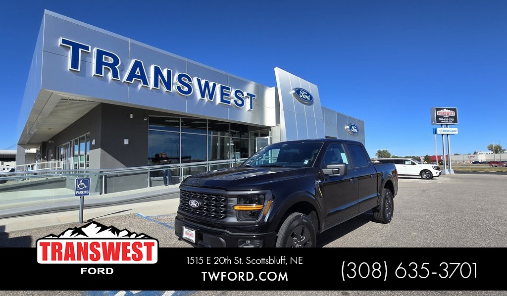 2025 Ford F-150 STX's photo