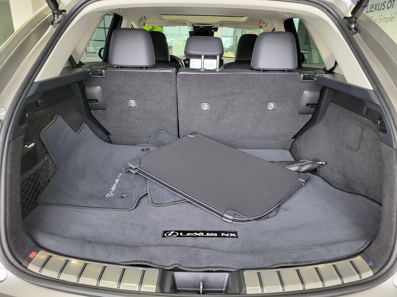 2024 Lexus NX Luxury AWD photo 14
