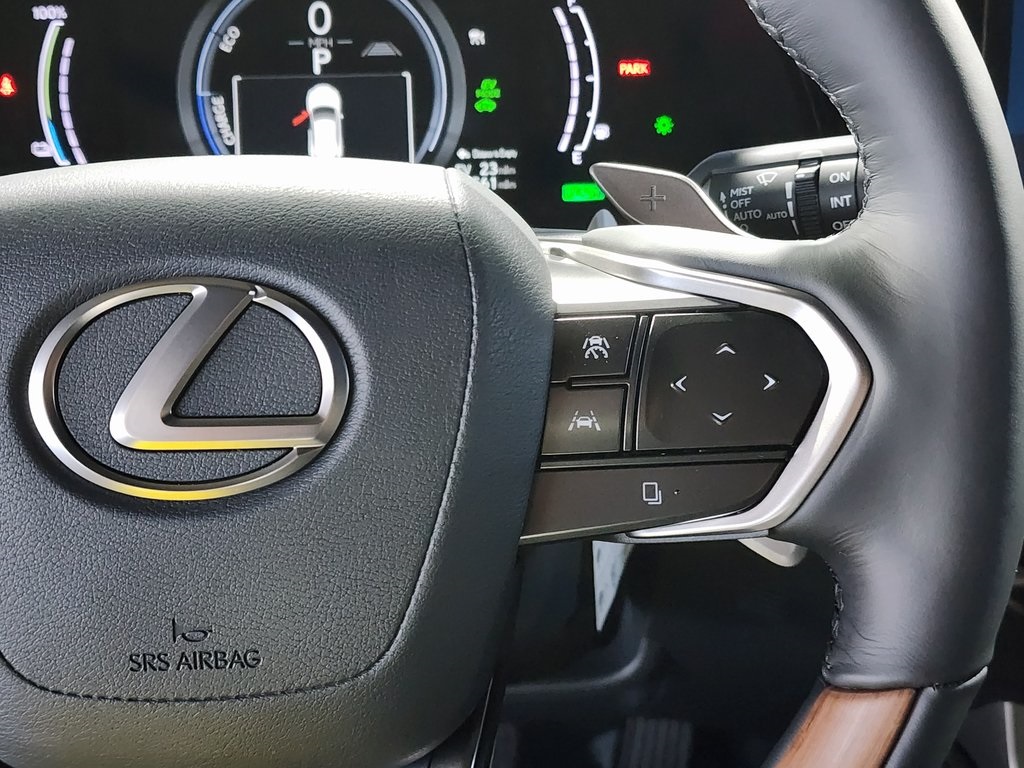 2025 Lexus RX 450h+ Luxury AWD photo 15