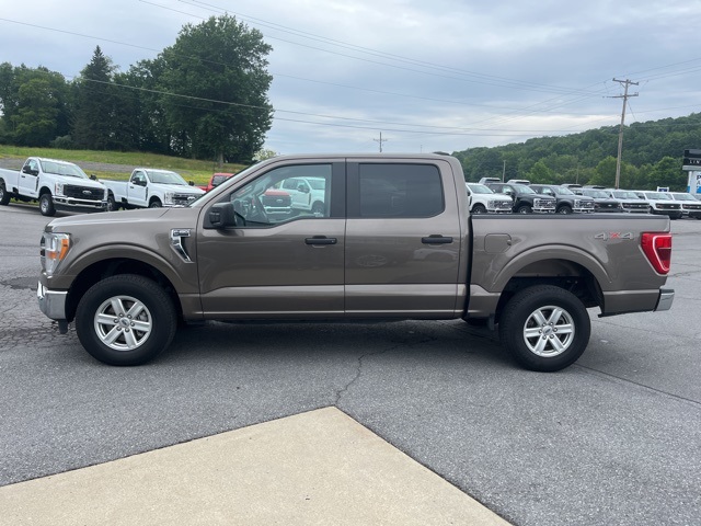 2022 Ford F-150 XLT photo 4