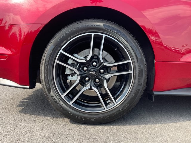 2021 Ford Mustang GT photo 7