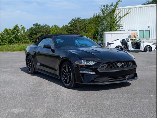 Used 2023 Shadow Black G1 Ford EcoBoost Premium image 1