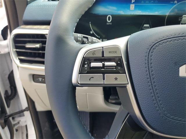 2025 Kia Telluride SX photo 10