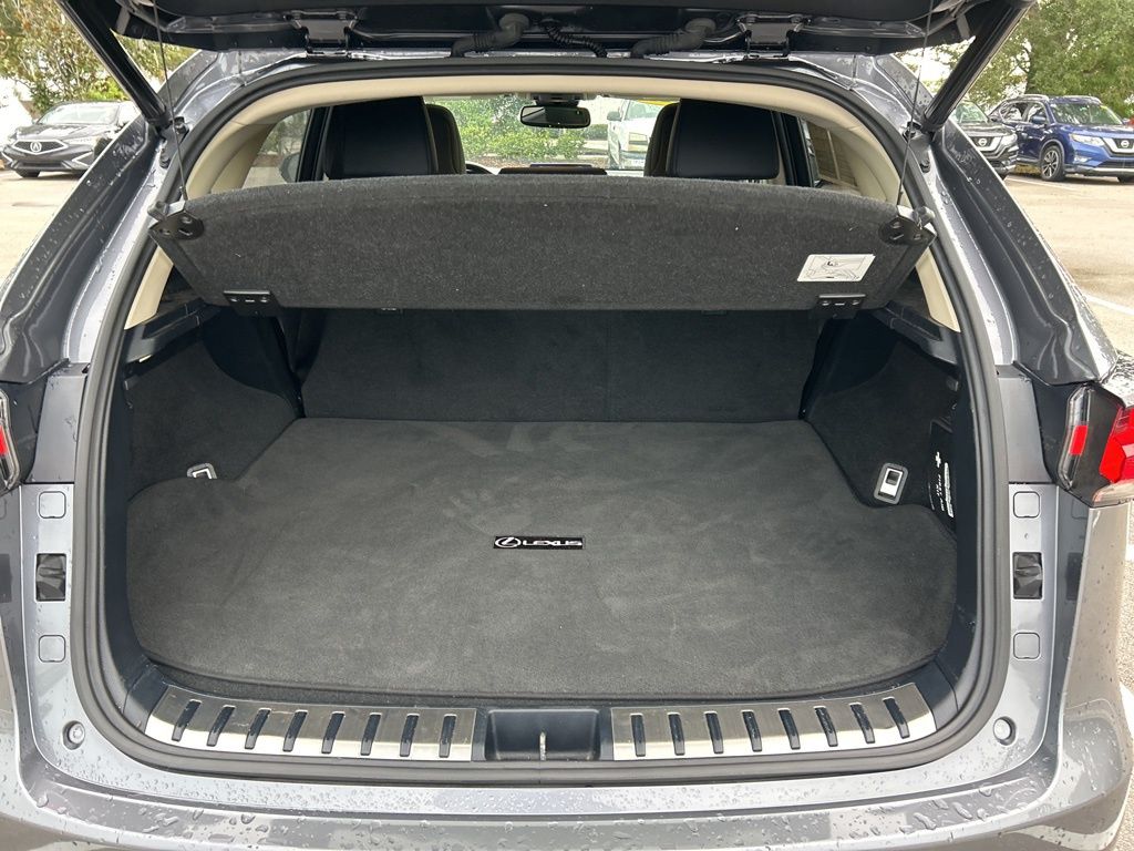 2021 Lexus NX 300 photo 44