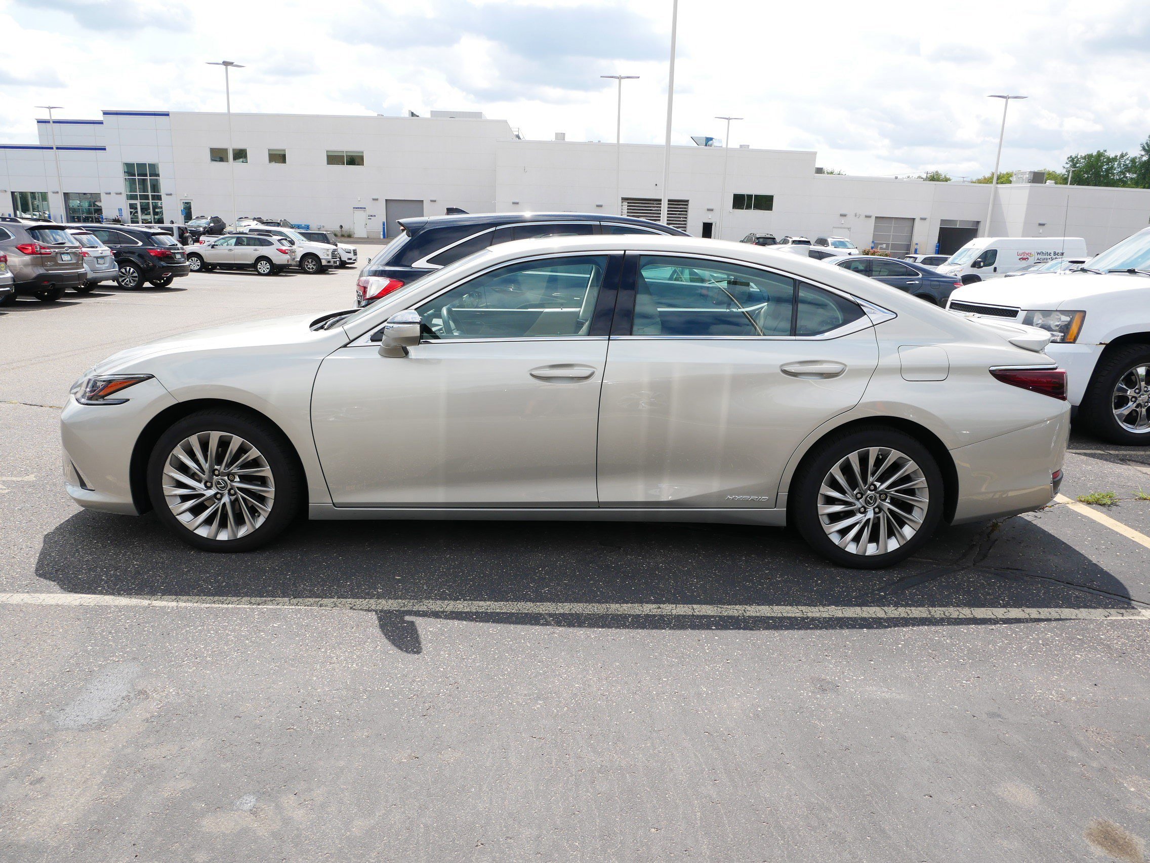 2020 Lexus ES 300h Luxury photo 4