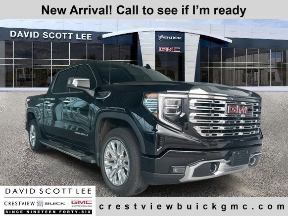 2022 GMC Sierra 1500 Denali Denali's photo