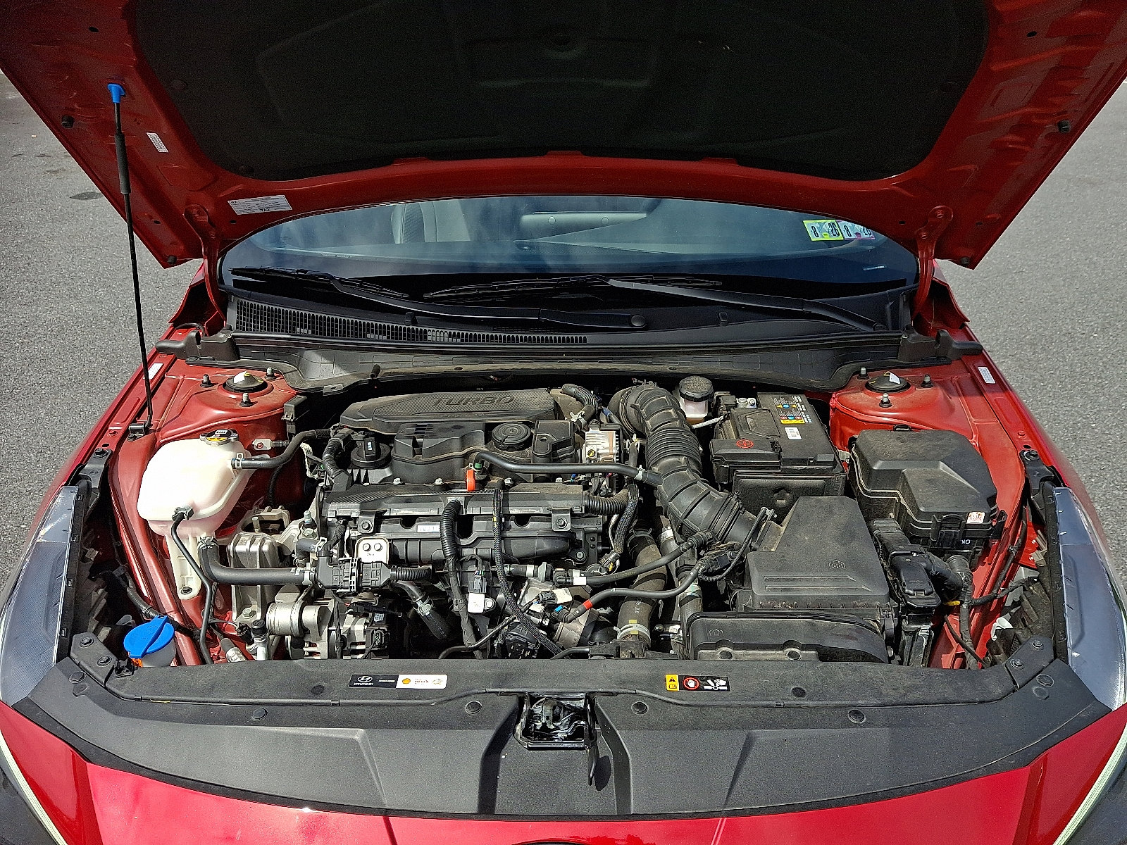 2023 Hyundai Elantra N Line photo 27