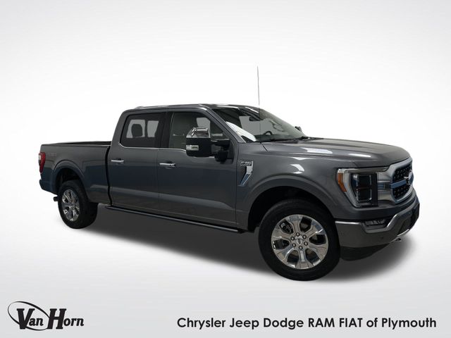 Used 2021 Gray Metallic Ford Platinum image 1