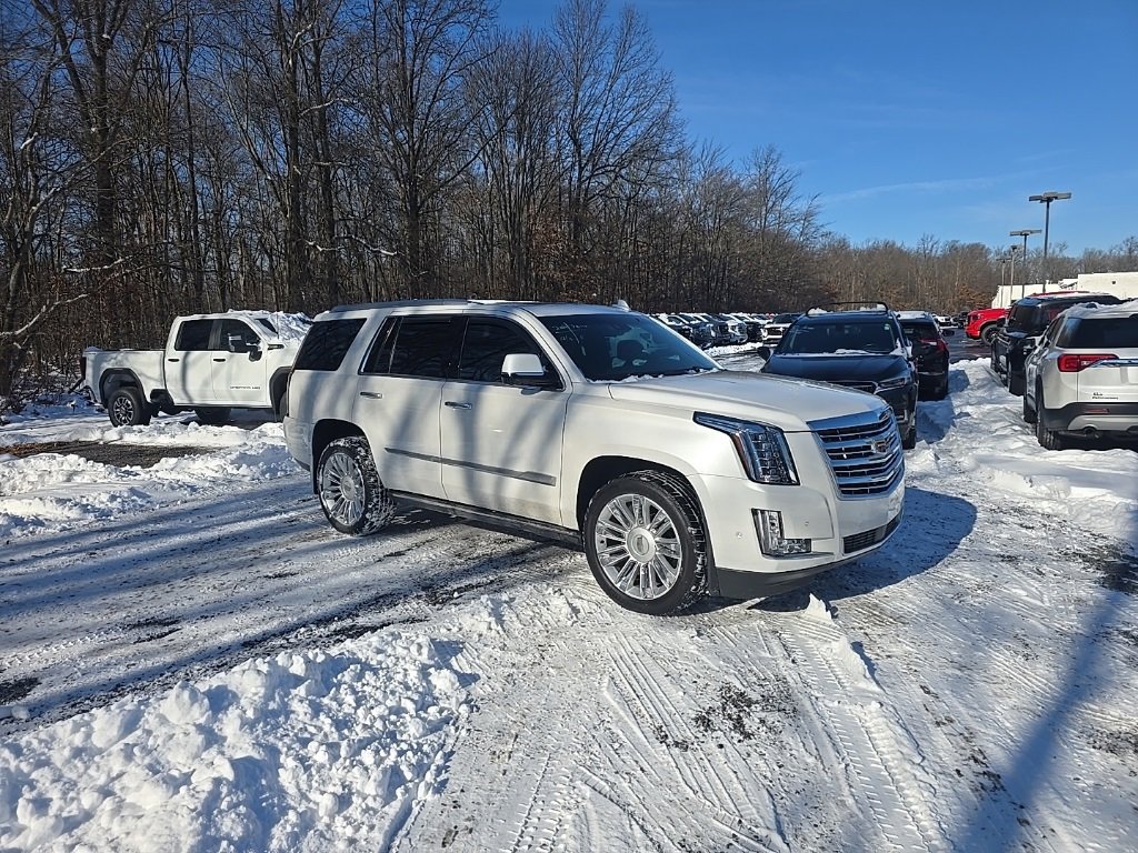 2018 Cadillac Escalade Platinum's photo