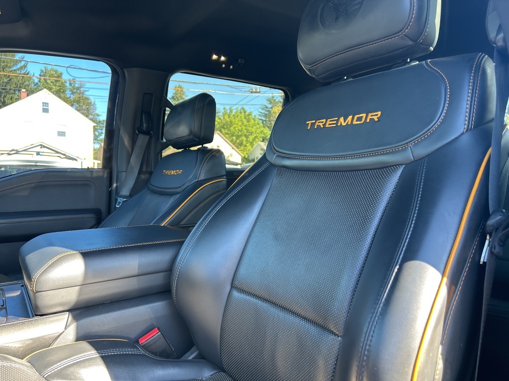 2022 Ford F-150 Tremor photo 3