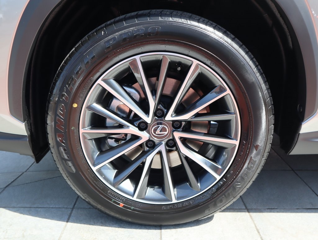 2025 Lexus NX 250 Premium photo 11