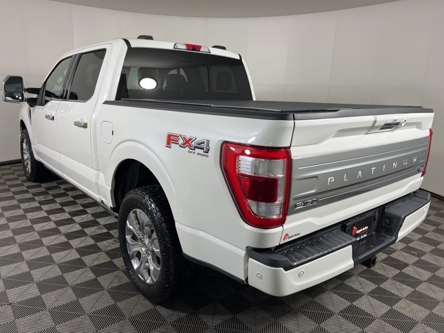 2021 Ford F-150 Platinum photo 2