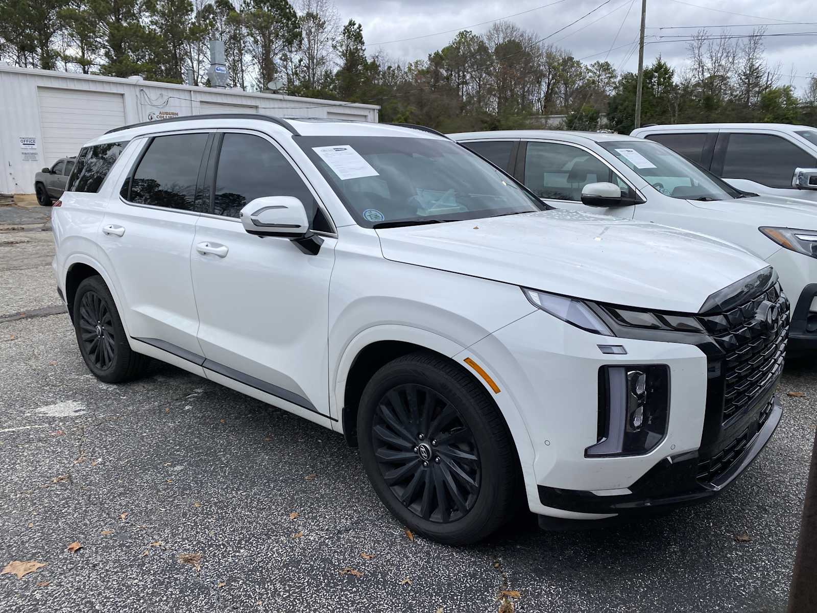 2025 Hyundai Palisade Calligraphy Night Edition's photo