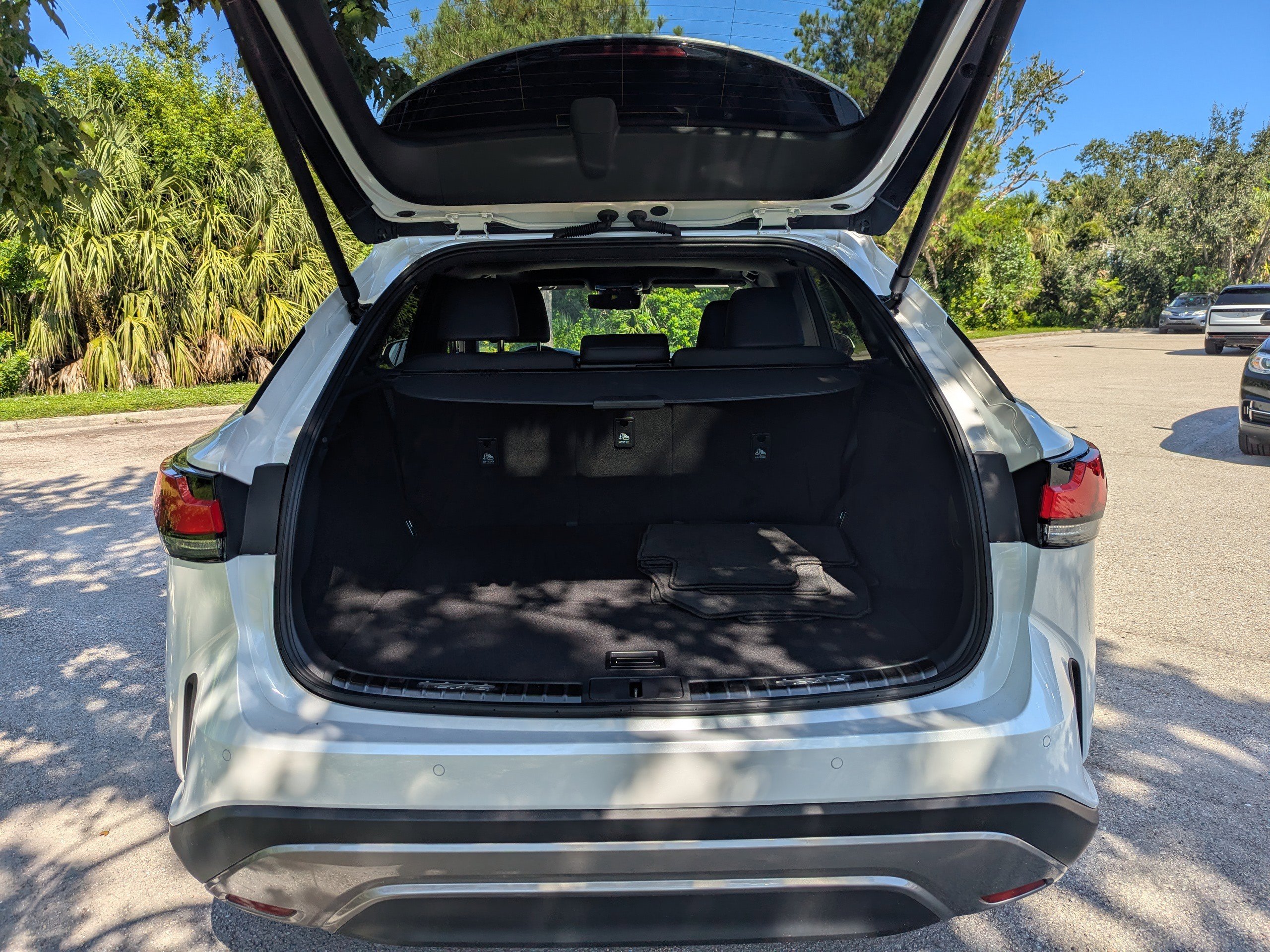 2024 Lexus RX 350h photo 11