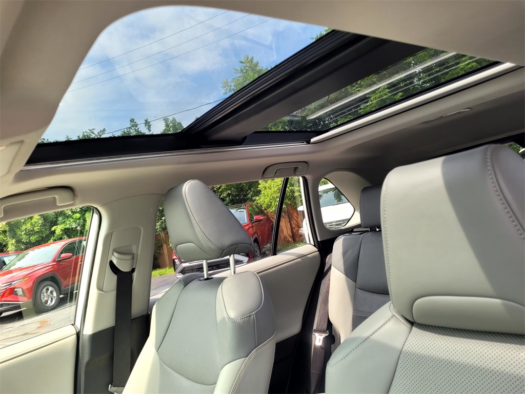 2019 Toyota RAV4 Limited photo 30