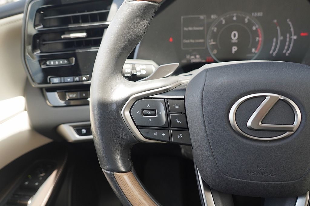 2023 Lexus RX photo 60