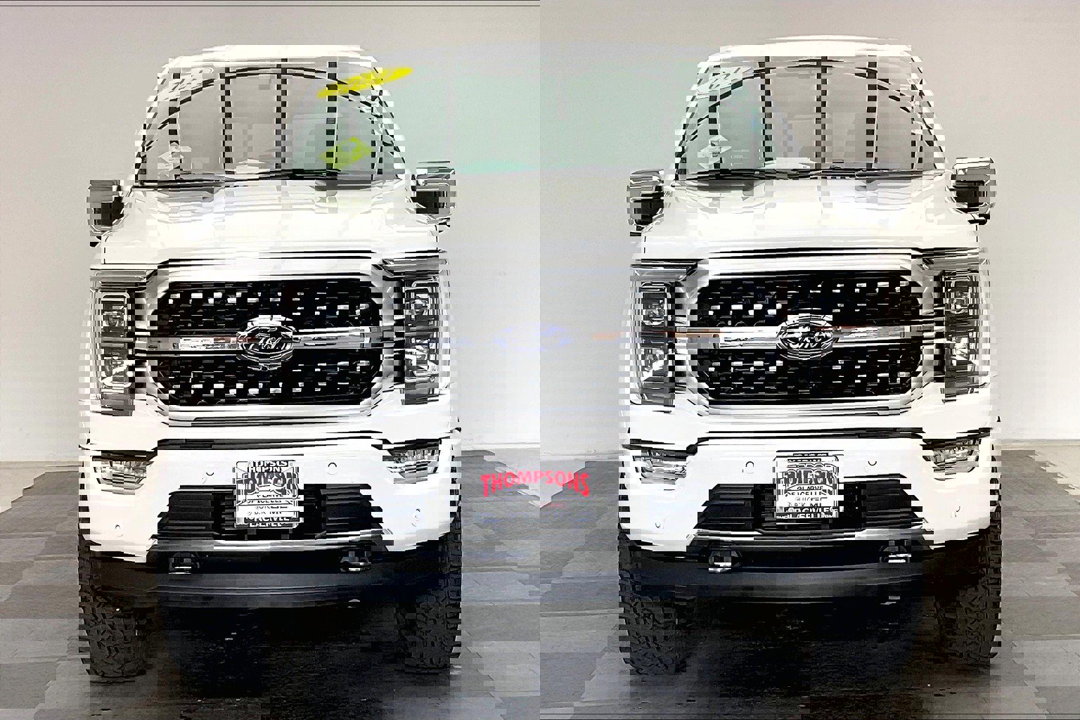 2021 Ford F-150 Platinum photo 2