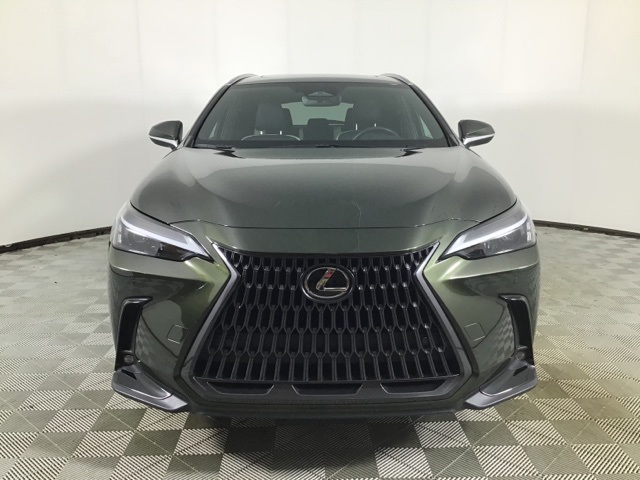 2023 Lexus NX 250 Premium photo 2