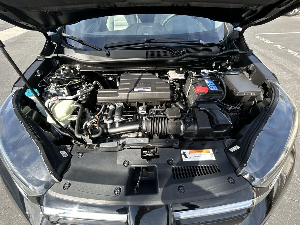 View 25