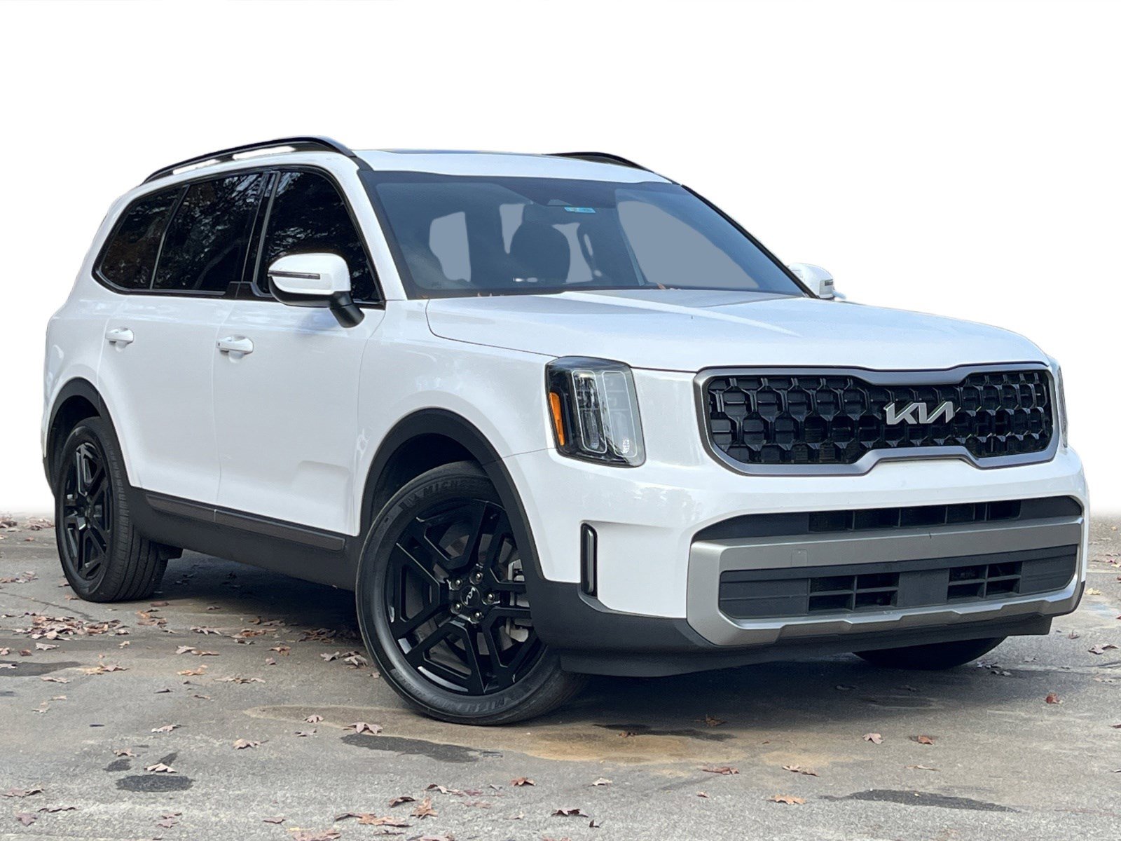 2023 Kia Telluride EX X-Line photo 2
