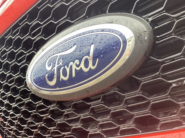 2020 Ford F-150 XL photo 4