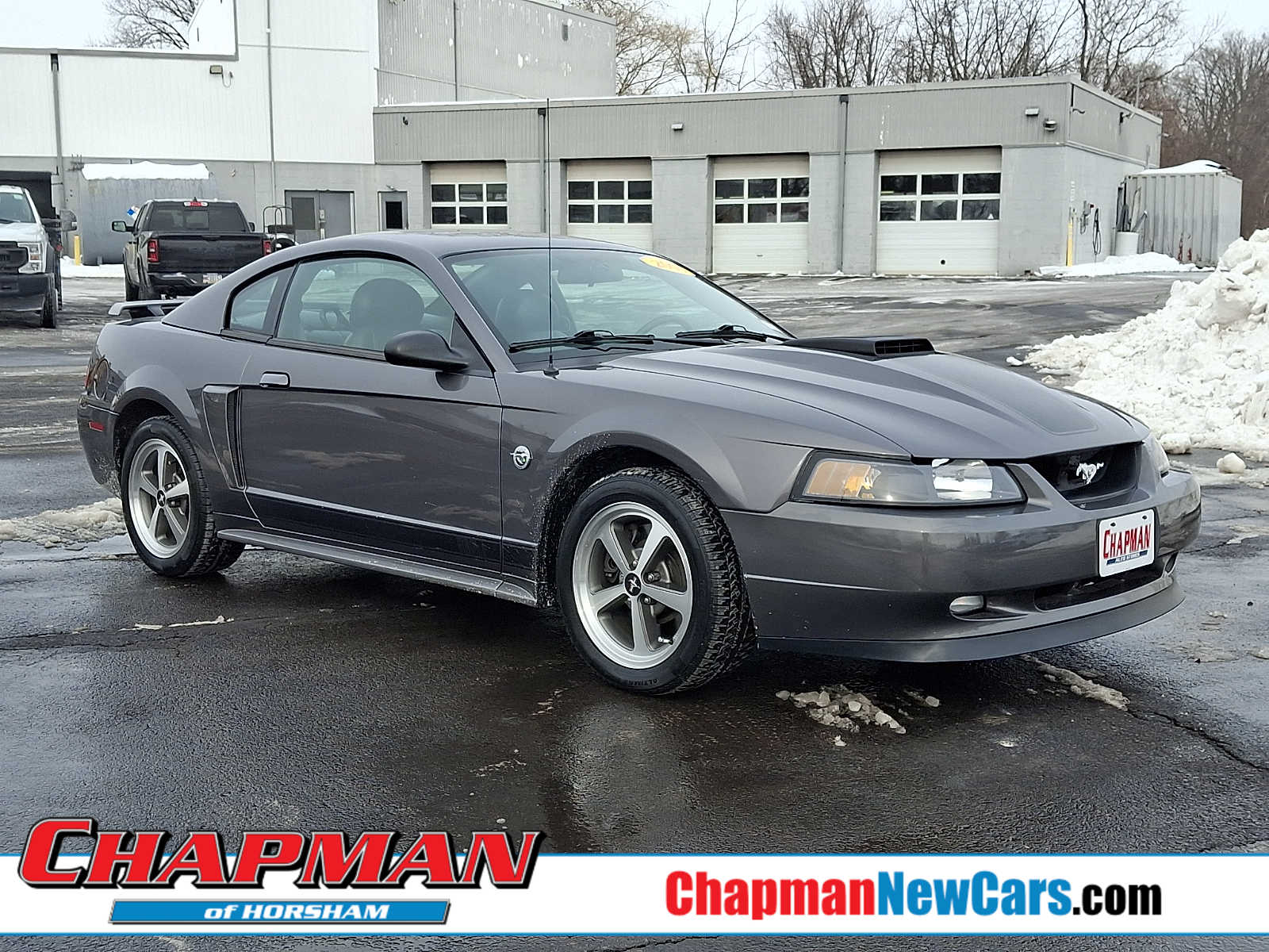 2004 Ford Mustang Mach 1