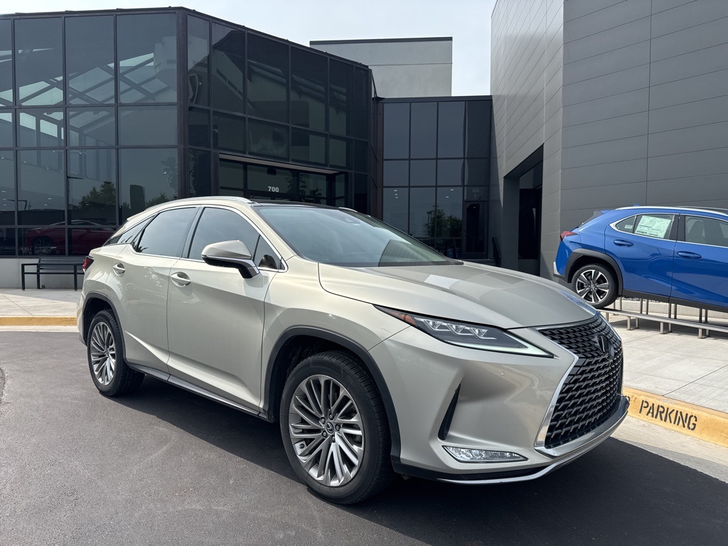 2021 Lexus RX Luxury photo 2