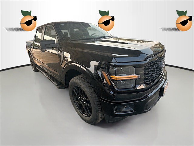 2025 Ford F-150 STX's photo