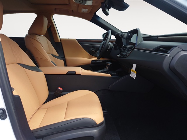 2025 Lexus ES 300h photo 15
