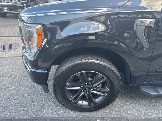 2022 Ford F-150 XL photo 3