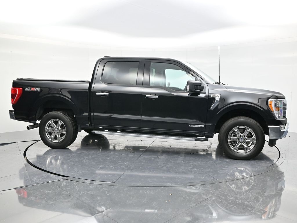 2023 Ford F-150 XLT photo 3