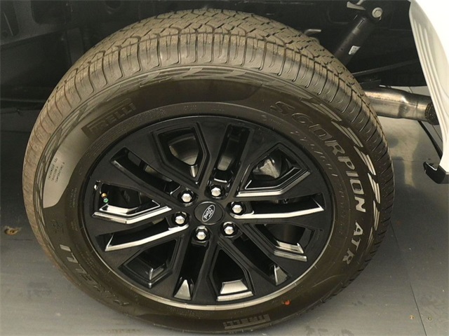 2025 Ford F-150 XLT photo 8