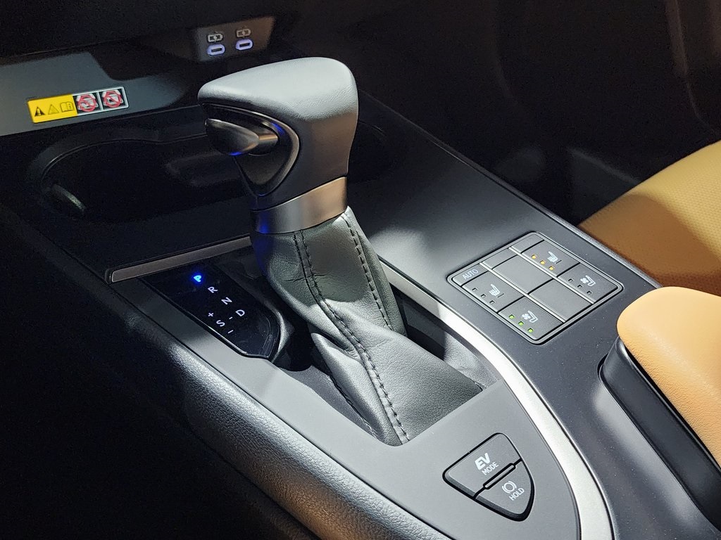2025 Lexus UX photo 21