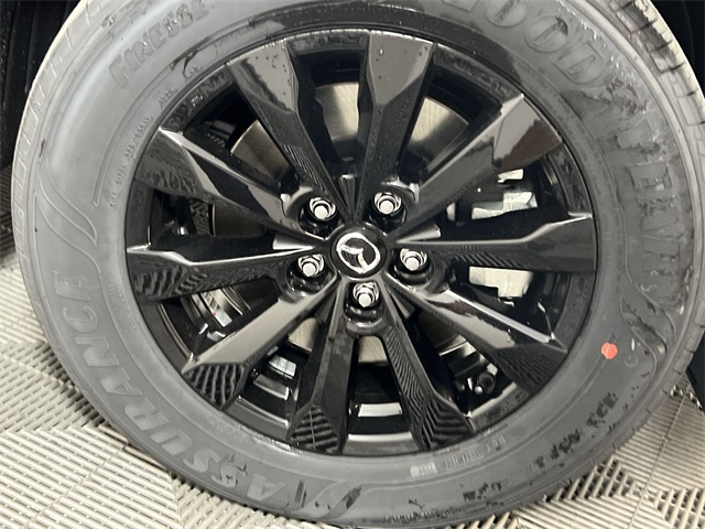 2025 Mazda CX-50 2.5 S Premium photo 18