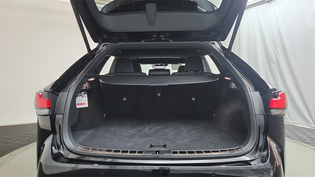 2023 Lexus RX 350 Premium photo 18