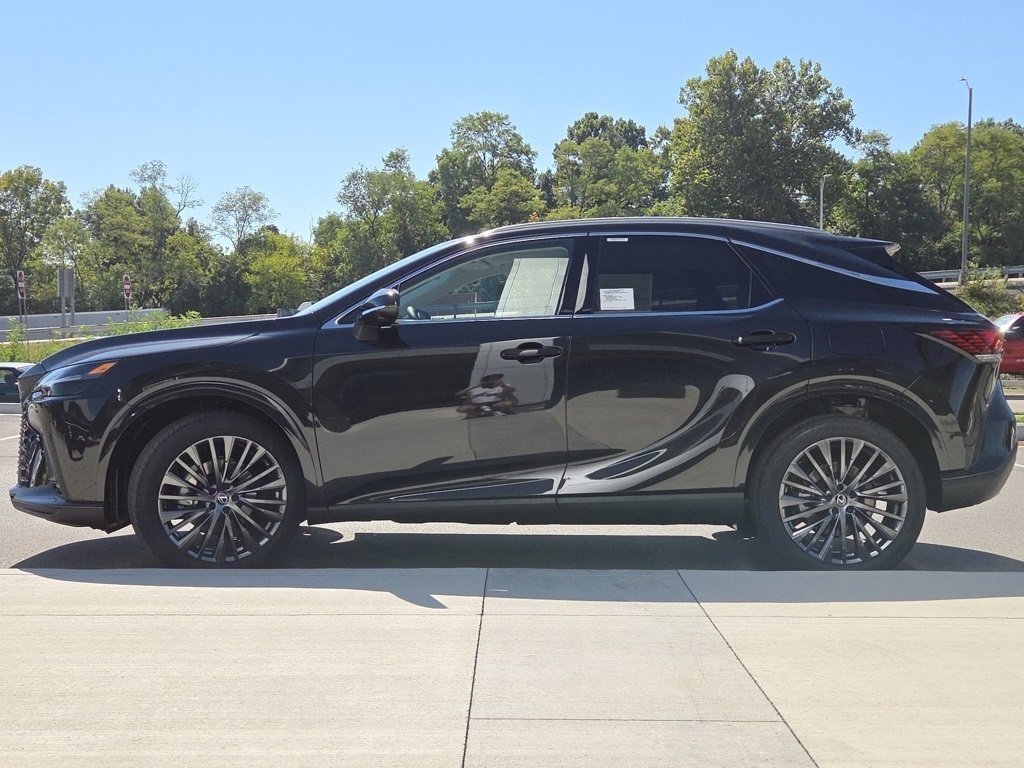 2025 Lexus RX 350 Luxury photo 19