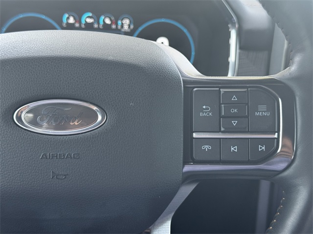 2021 Ford F-150 Platinum photo 25