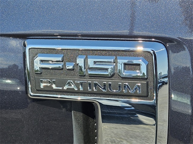 2021 Ford F-150 Platinum photo 9