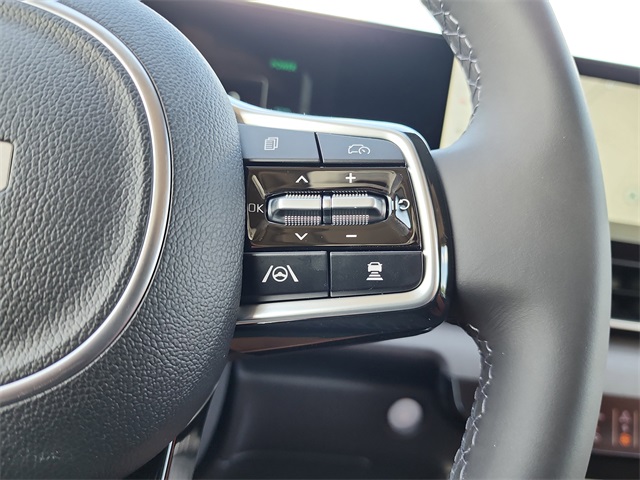 2026 Kia Carnival SX photo 25