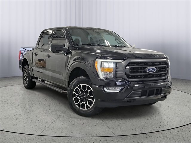 2023 Ford F-150 XLT's photo