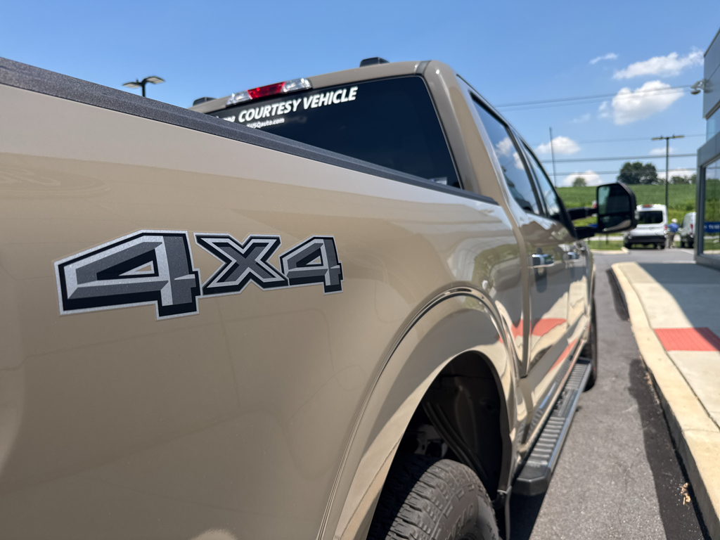 2025 Ford F-150 XLT photo 15